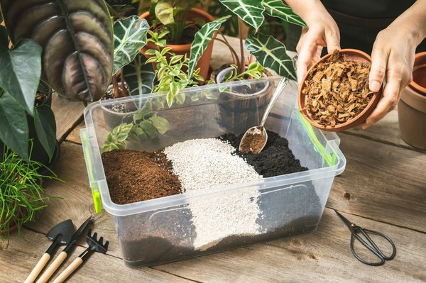 Comment utiliser le lait de coco pour réparer et hydrater les cheveux abîmés?